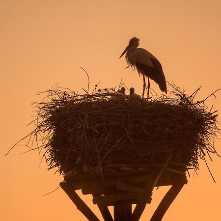 Agroturystyka Dolina23 Villa Piaski Exteriör bild