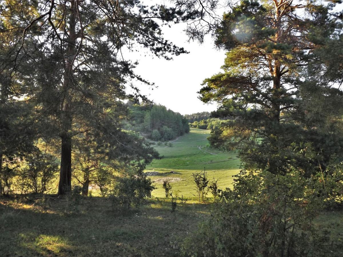 Agroturystyka Dolina23 Villa Piaski Exteriör bild